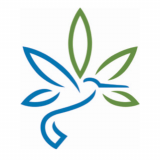 Flor Insurance 45 Marley One 49