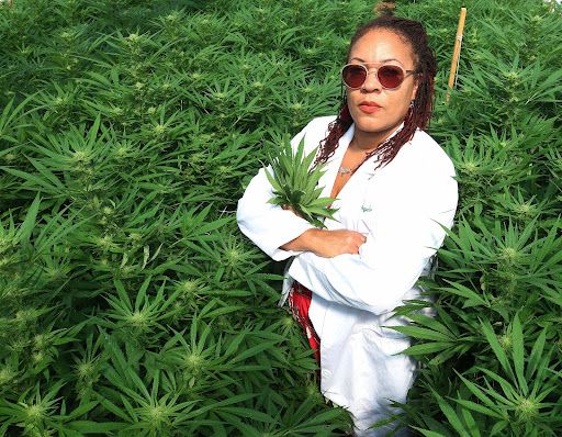 Plant Life Cycle from Seed to Consumer Through the Perspective of Minnesota Women in Cannabis 3 admin ajax.php?action=kernel&p=image&src=%7B%22file%22%3A%22wp content%2Fuploads%2Fangela dawson