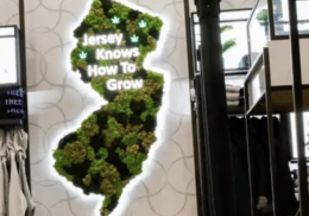 new jersey cannabis strains