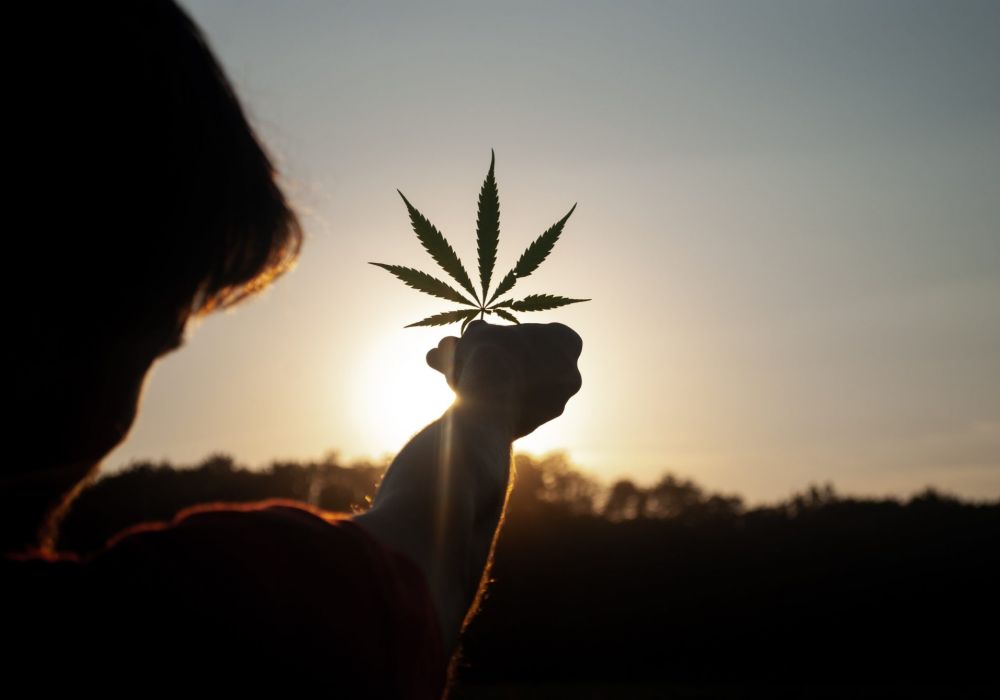 oklahoma cannabis cbd law