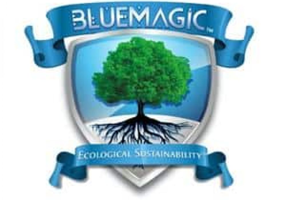 BLue Magic WEbsite