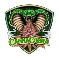 Canna Cobra 48a15ad0