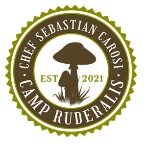 Sebastian Website