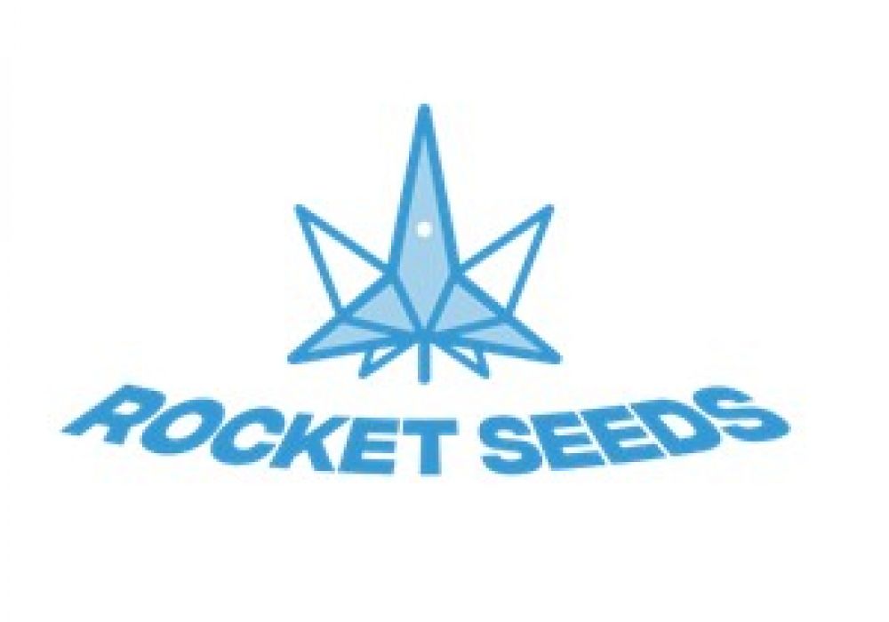 Rocket Seeds Website