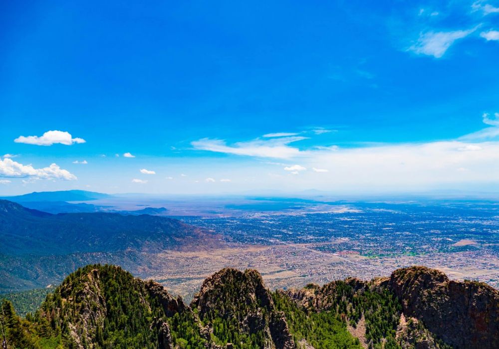 cannabis laws new mexico
