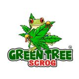 Green Tree Website 77916dea