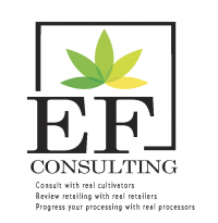 EF CONSULTING LOGO2 3 7aaca2d4