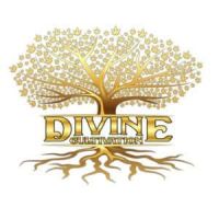 Divine Cultivation Website 7ea2652a