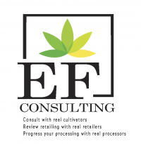 EF CONSULTING LOGO2 3 94600c7f