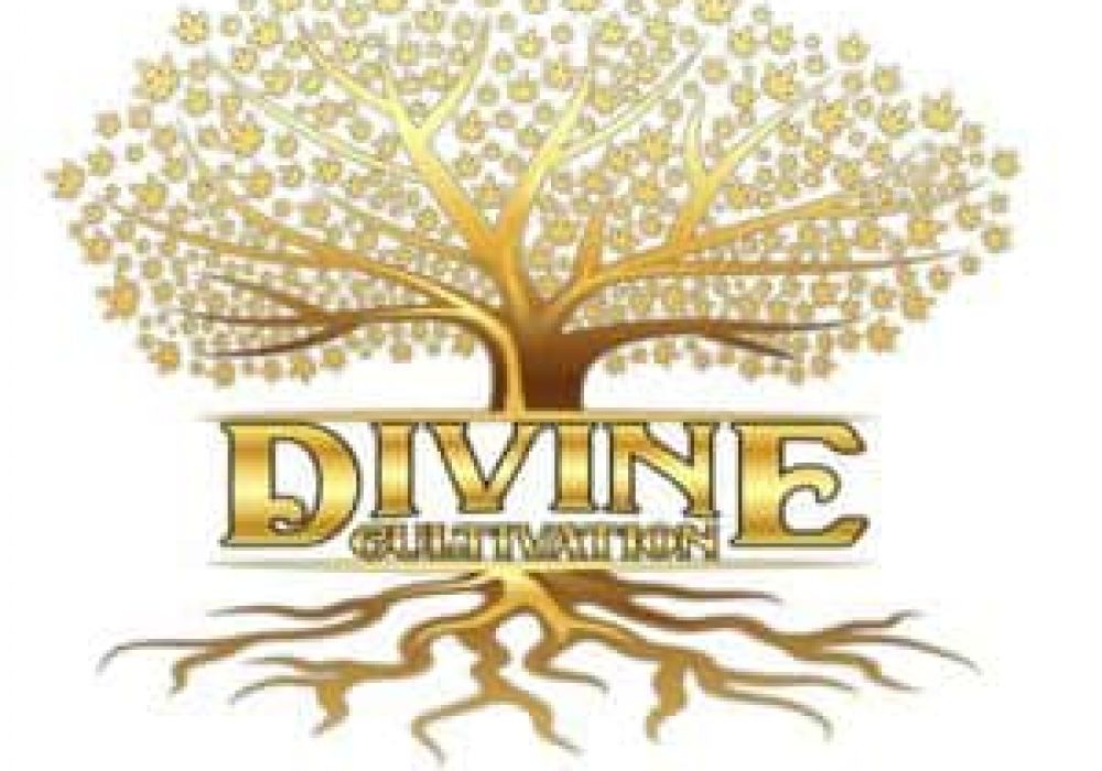 Divine Cultivation Website