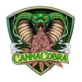 Canna Cobra bcf4445f