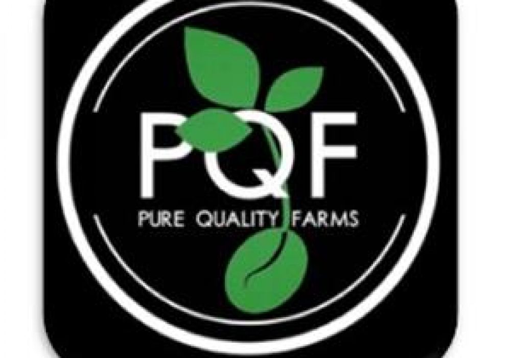 PQF website
