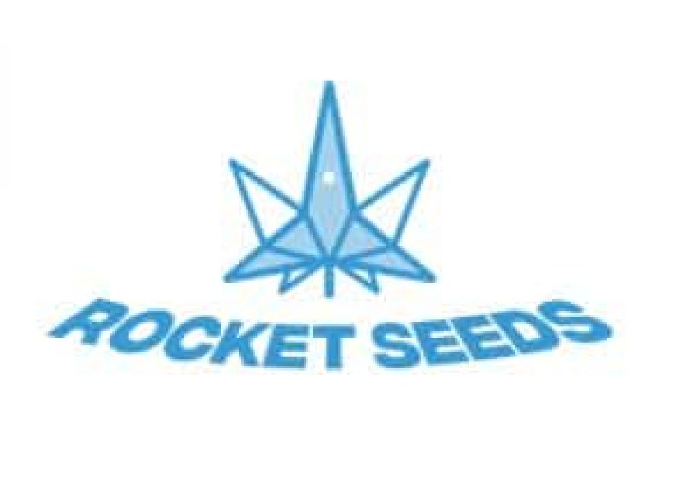 Rocket Seeds Website