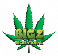 BIGZ Recreational Logo cc75191a