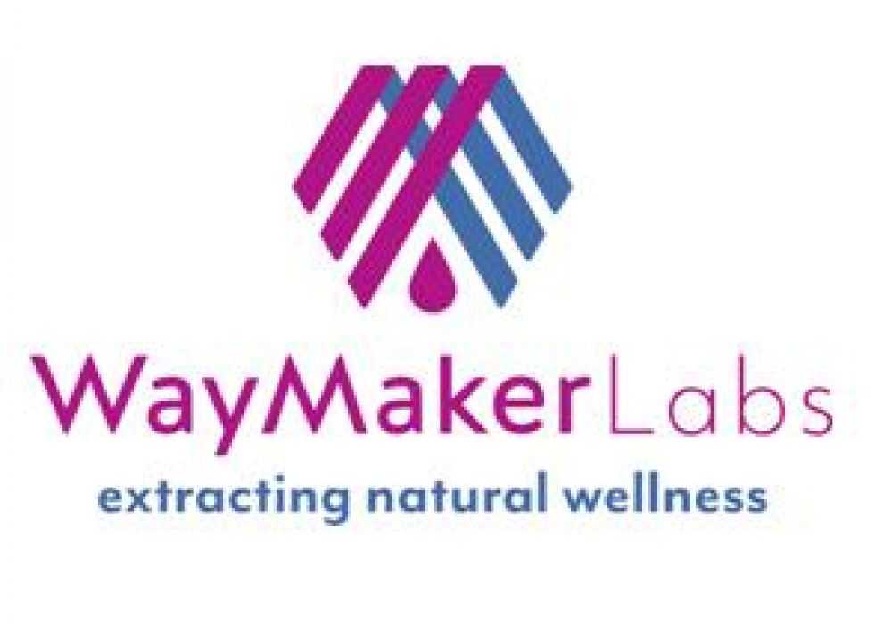 Waymaker Lab Website