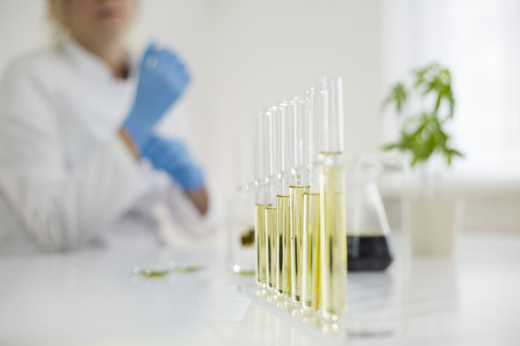 cannabis technologies: CBD oil on test tubes after extraction