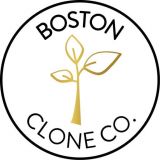 BCC.Logo 0c602f87