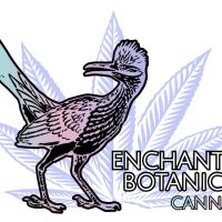 BIRD VECTOR 166dc520