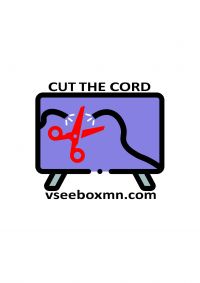 VSEEBOXMN Logo 1 21 25 17ebbf55