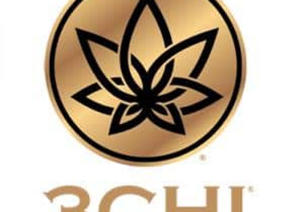 3chi website