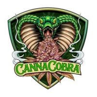 Canna Cobra 448fb735
