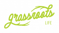 grassroots black full white tag 61476ec8