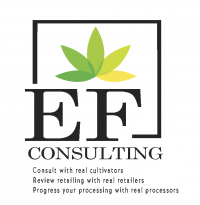 EF CONSULTING LOGO2 3 78c61b44
