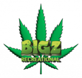 BIGZ Recreational Logo 9294f845
