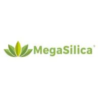 Mega Silica website 9fbcaf36