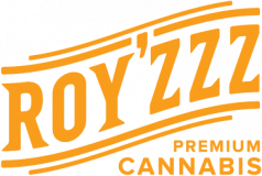 royzzz aa3b364b