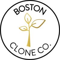 BCC.Logo 1 b2d12585