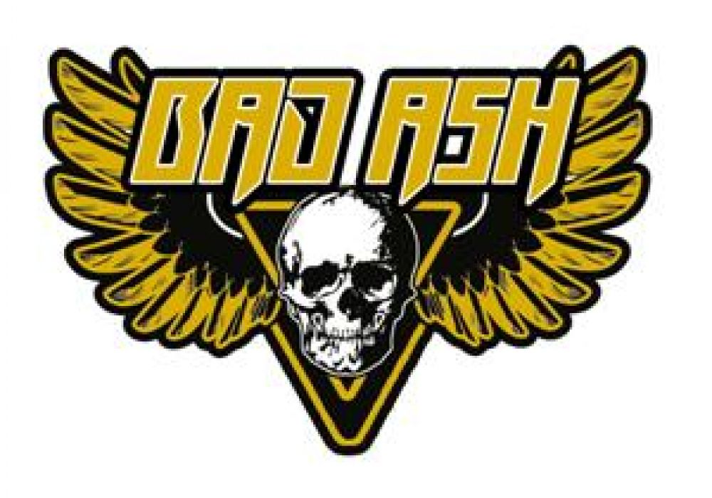 Bad Ash Wholesale website