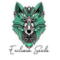 Exclusive website d847c9d6